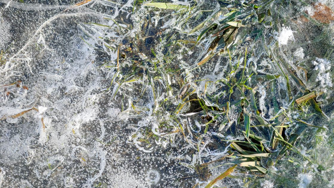 Лед на траве