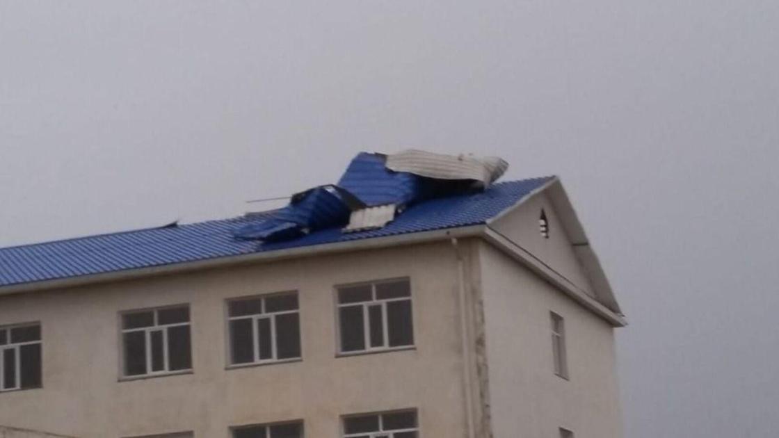 Дауыл Дауыл