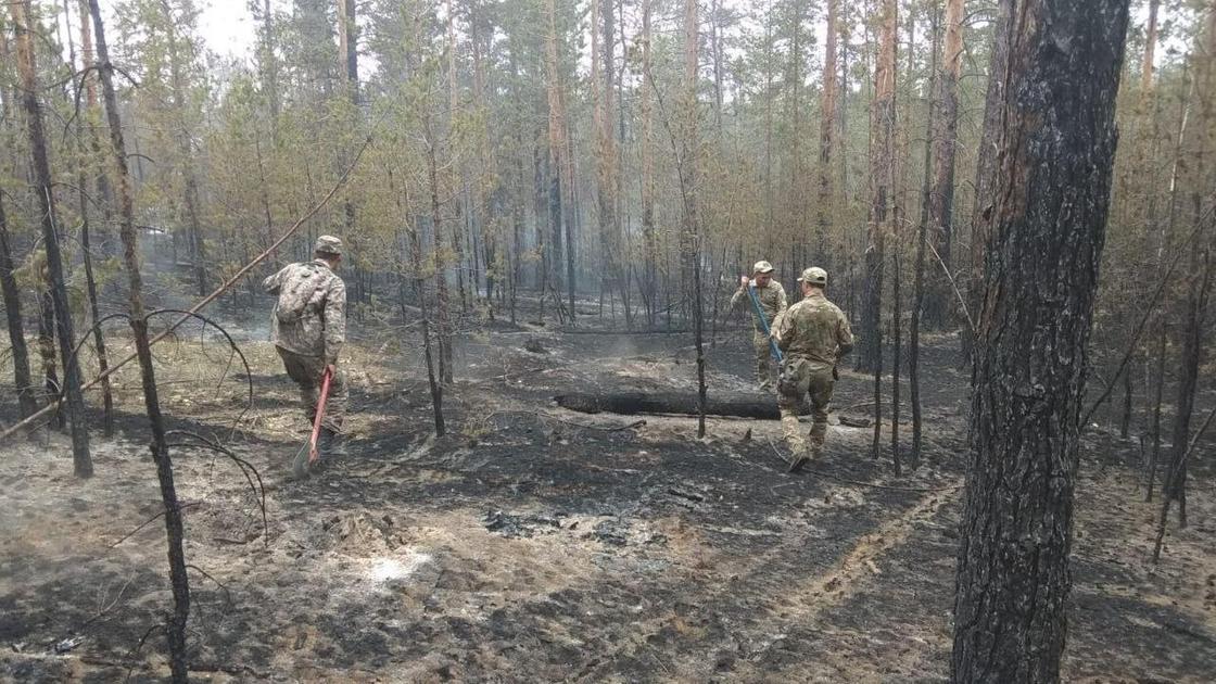 Қарулы күштердің әскери қызметшілері мен әскери техникасы Абай облысындағы өртті сөндіруге тартылды