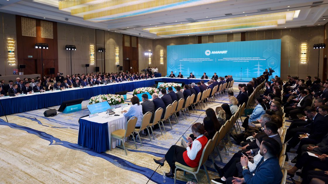 Встреча предпринимательского крыла партии AMANAT с представителями энергетической отрасли