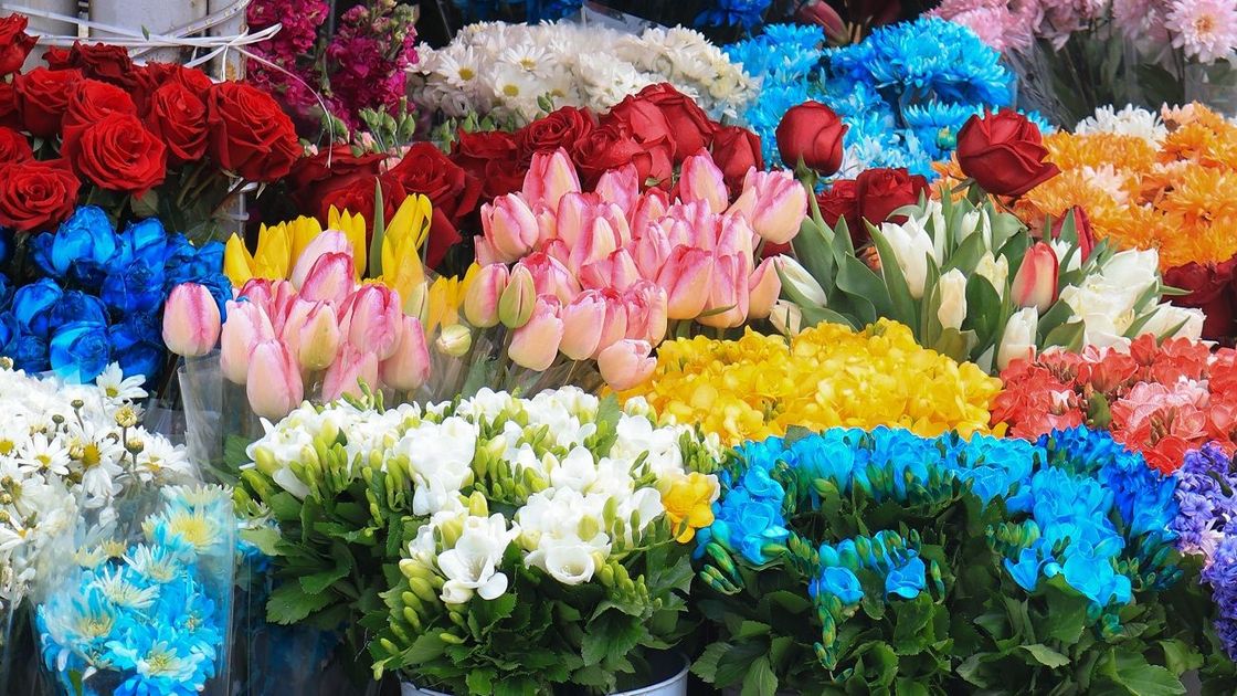 Цветы