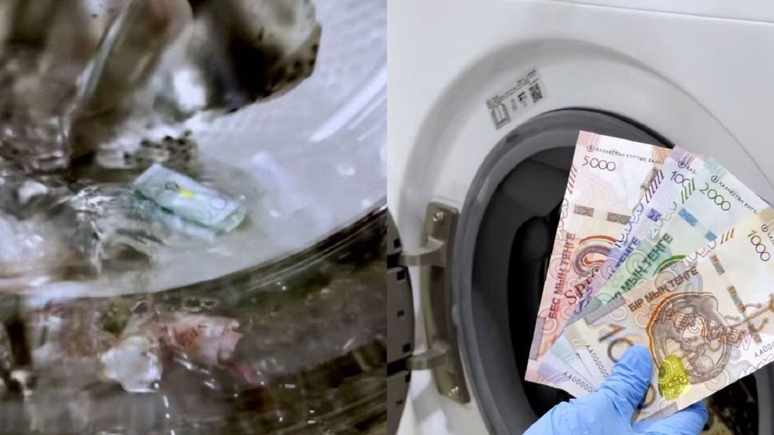 Деньги и стиральная машина