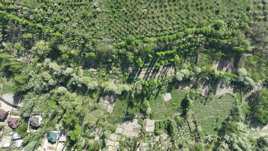 Земельные участки