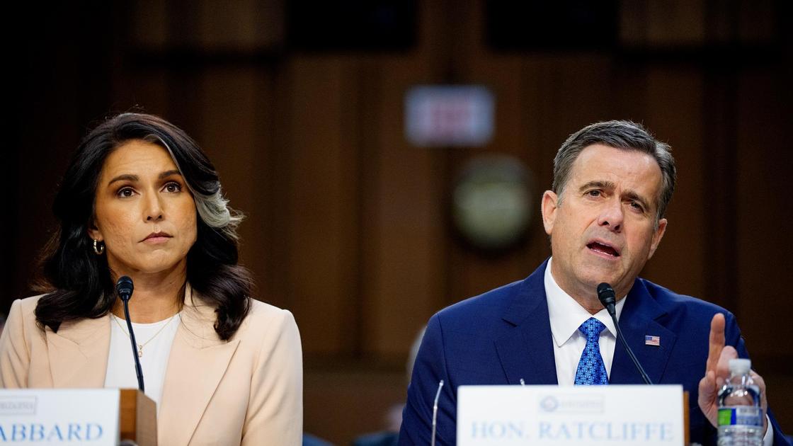 Тулси Габбард и Джон Рэтклифф