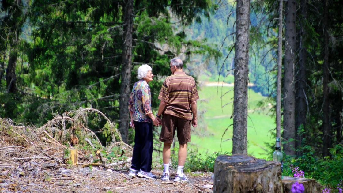 Бабушка и дедушка в лесу