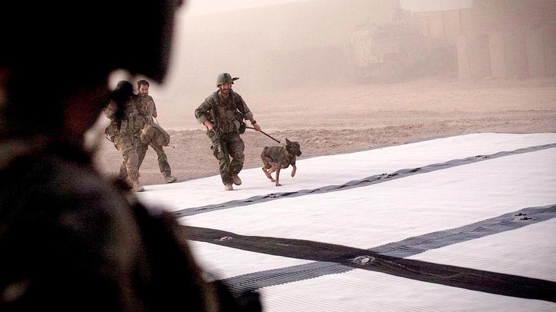 Американский военный держит собаку на поводке