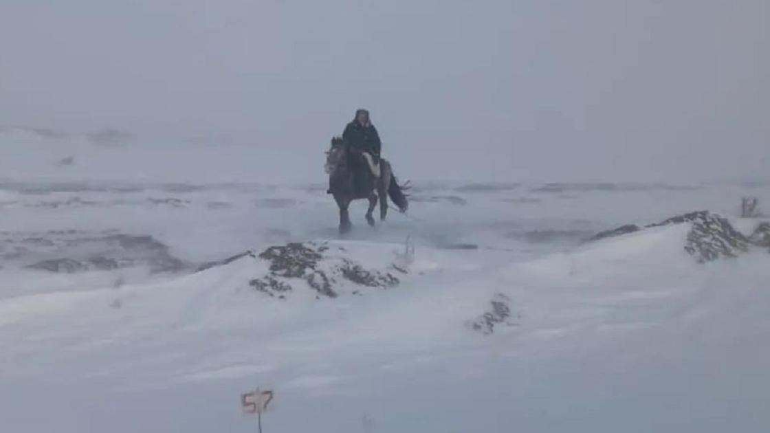 Пастух едет на лошади