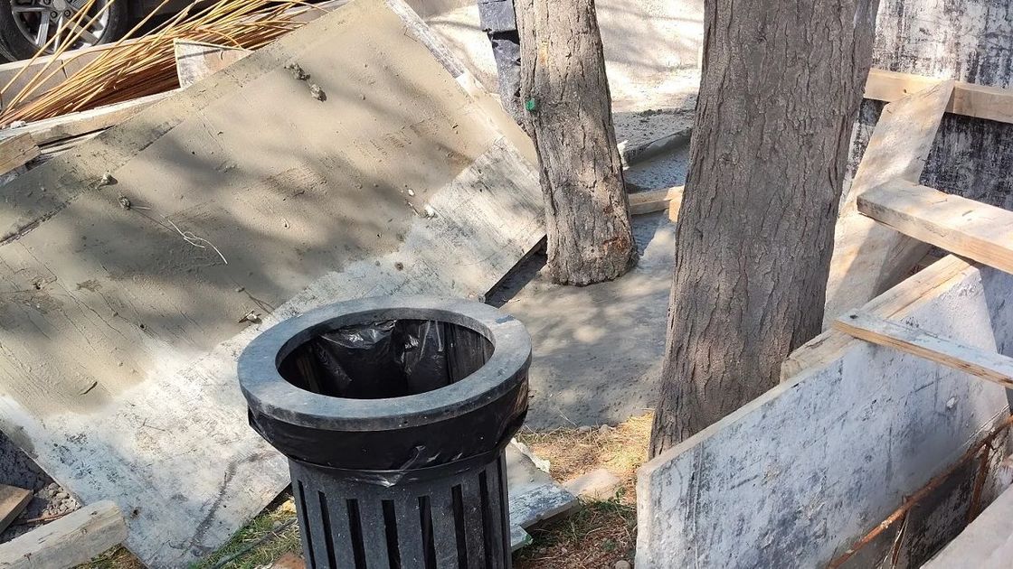 Деревья в цементе