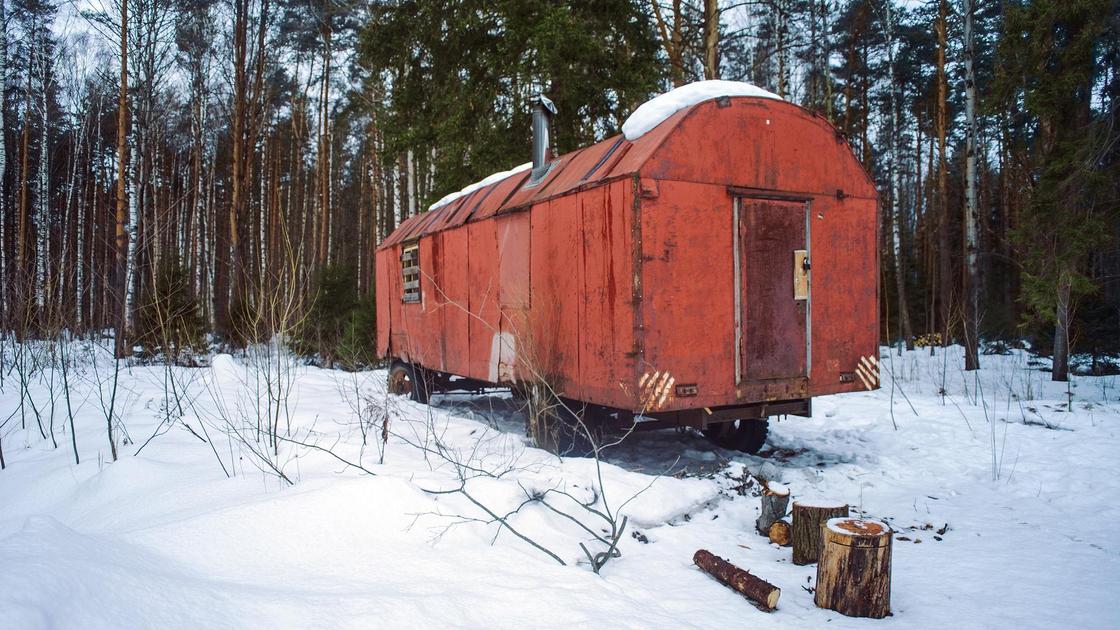 Вагон в лесу