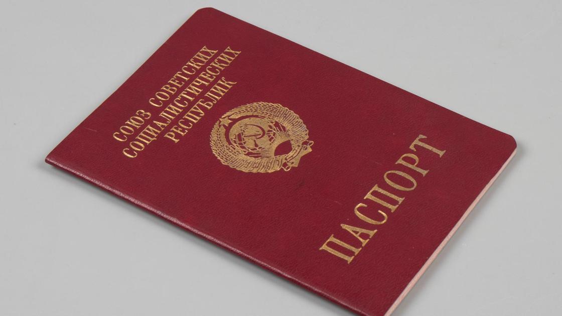 Паспорт Жириновского