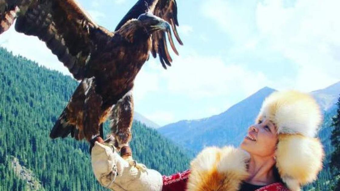 Девушка держит на руке ловчую птицу