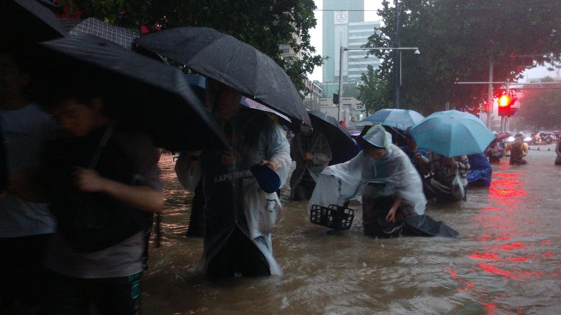 Люди в воде под зонтами
