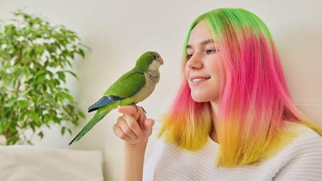 Девушка с попугаем