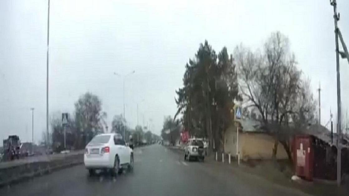 Алматы облысында жол-көлік оқиғасы орын алды