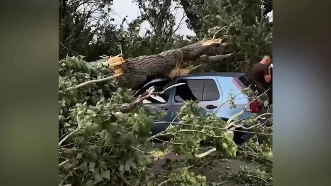 Алматы облысында көлік құлады