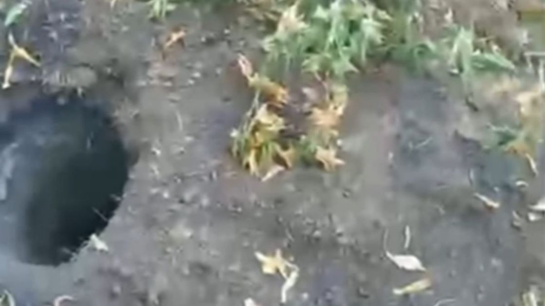 Вырытая яма
