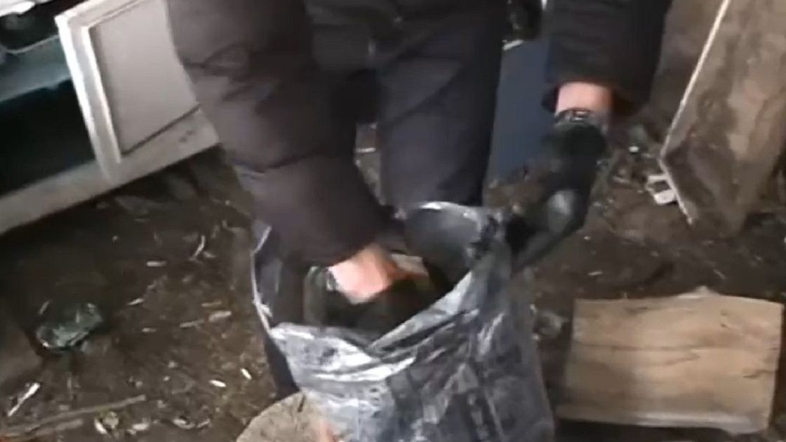 Следственные действия