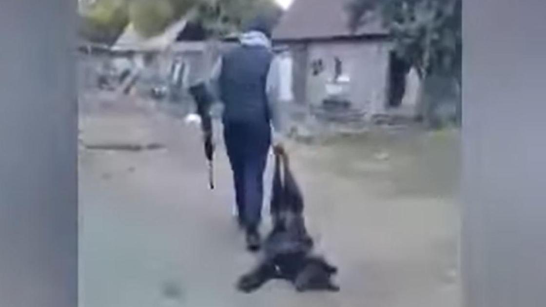 Мужчина идет с ружьем и тушей собаки Мужчина идет с ружьем и тушей собаки