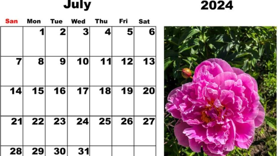 Календарь на июль 2024