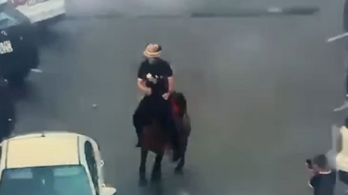 Мужчина верхом на лошади