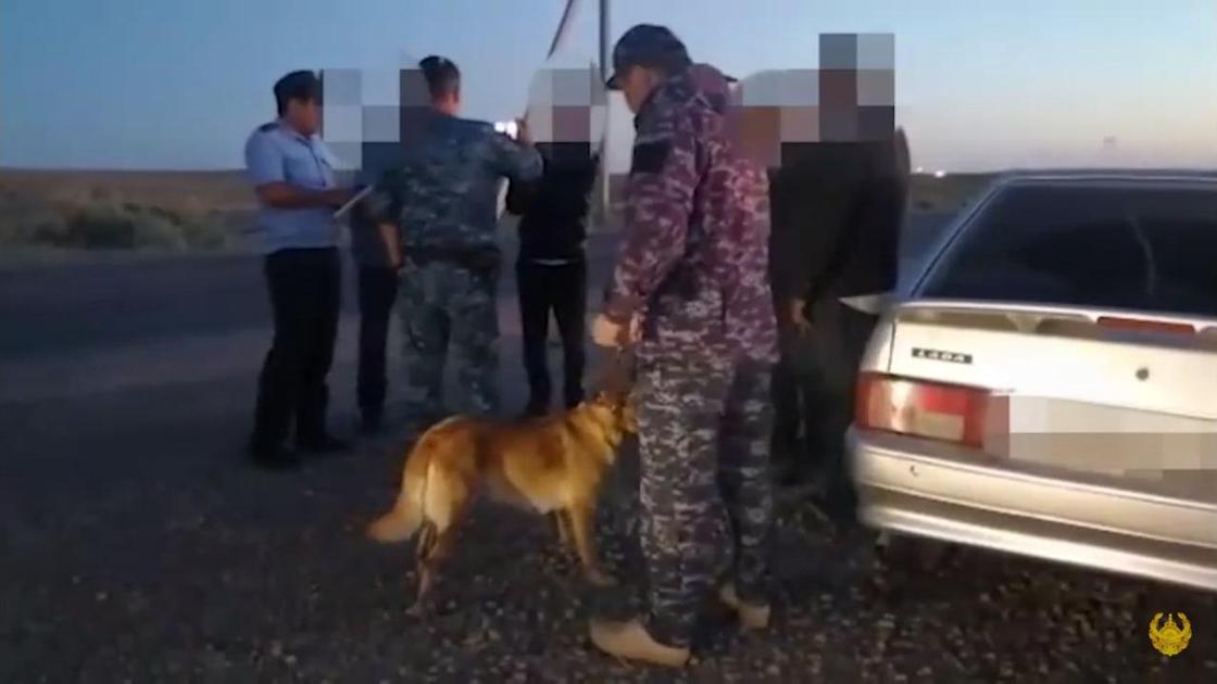 Сотрудники полиции, подозреваемый и собака стоят возле машины
