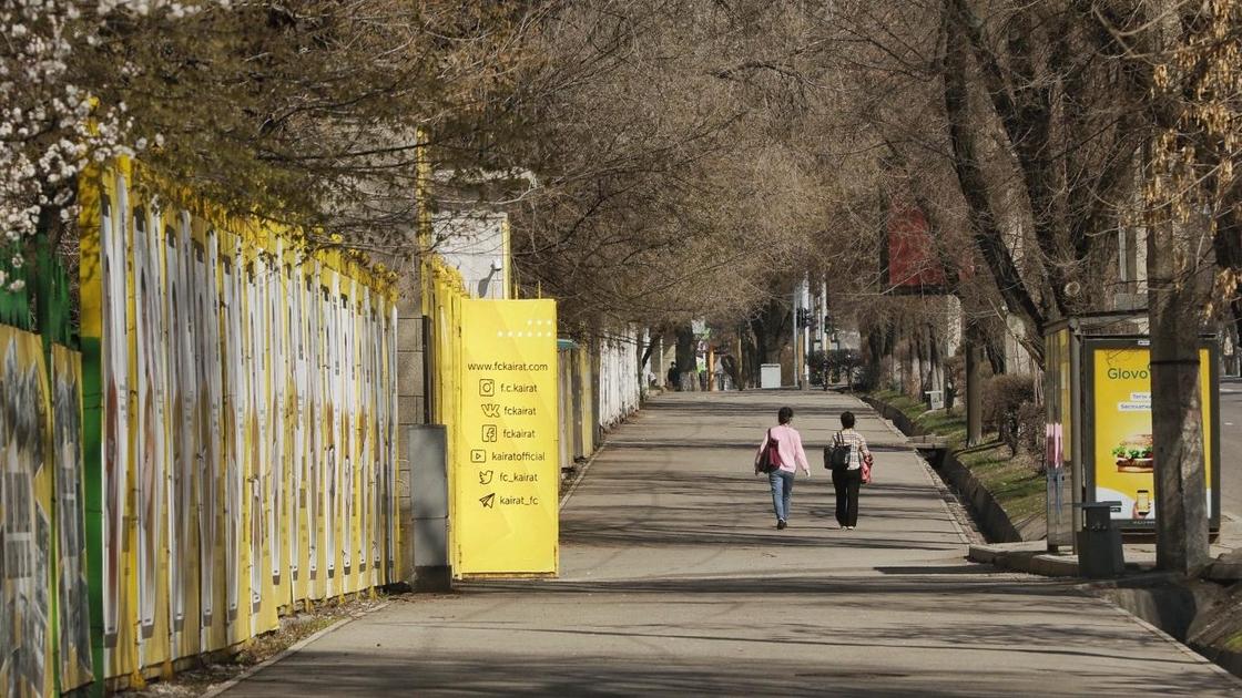 Улица в Алматы