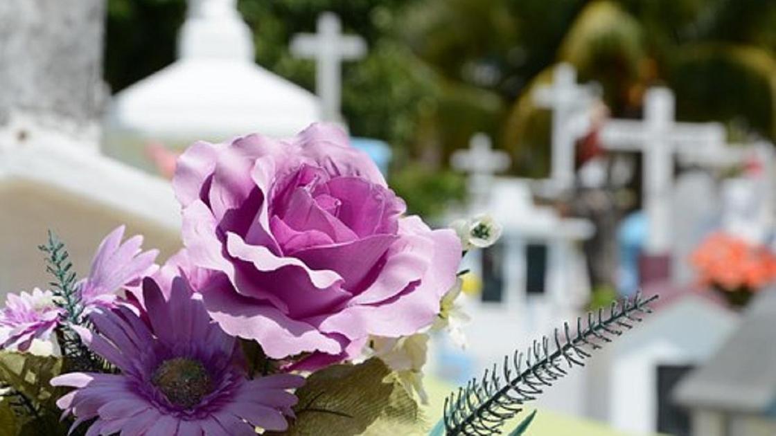 Цветы лежат на кладбище
