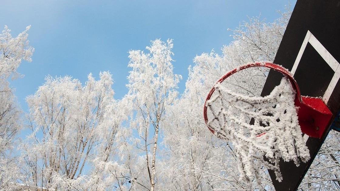 Замерзшие деревья и баскетбольное кольцо