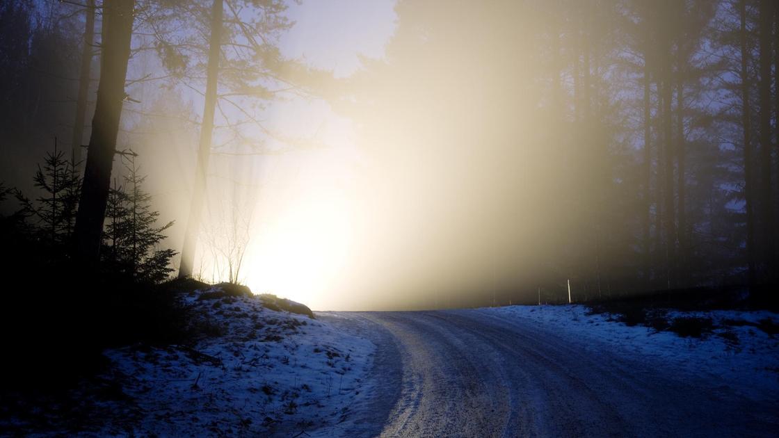 Туман и гололед