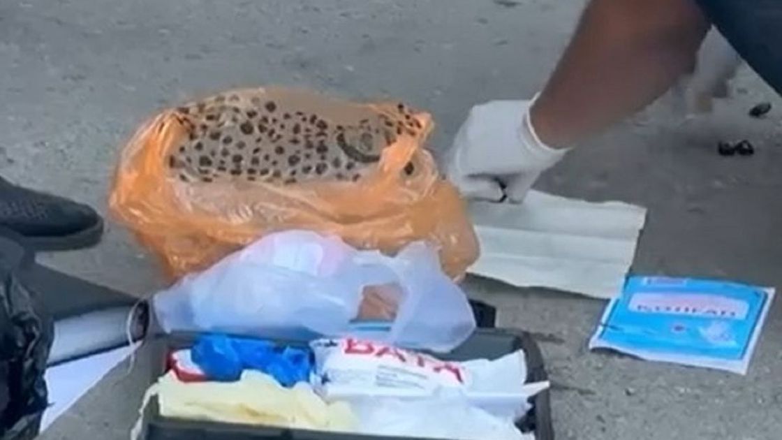 Следственные действия в Таразе