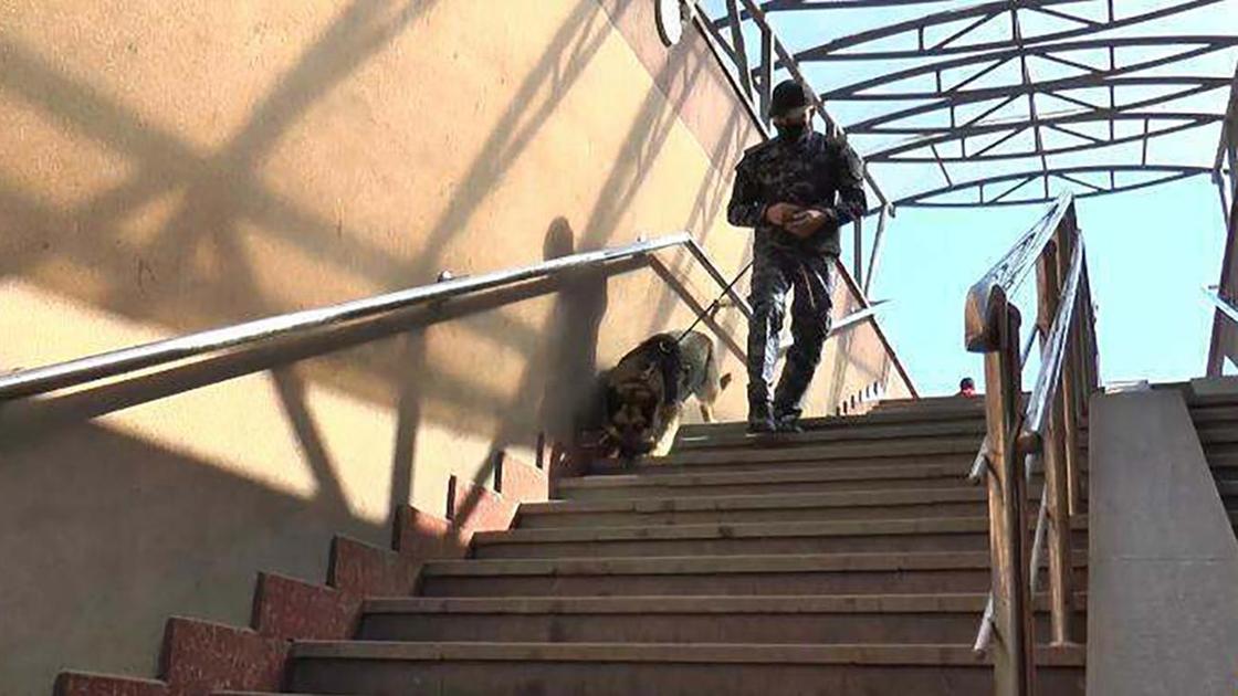 Полицейский со служебной собакой спускается в подземный переход