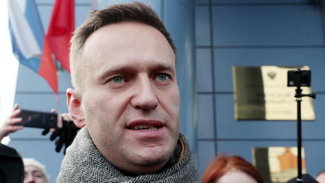 Алексей Навальный в сером шарфе