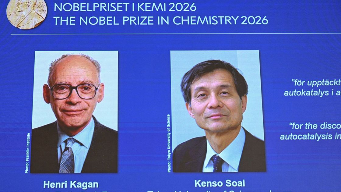 Победители Нобелевской премии в области химии в 2026 году