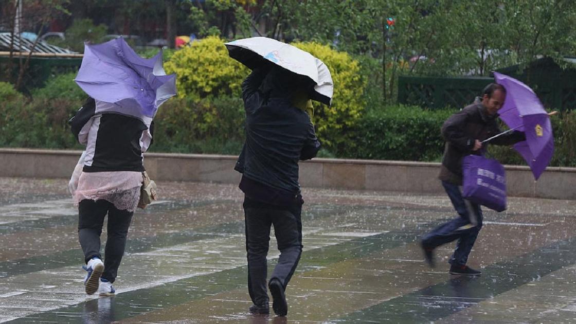 Люди с зонтиками переходят дорогу