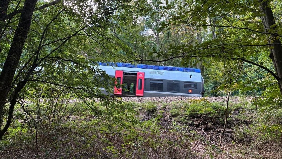 Поезд сошел с рельсов во Франции