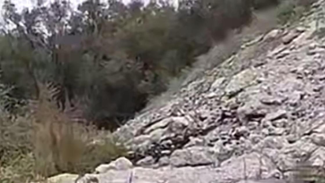 Место с отходами