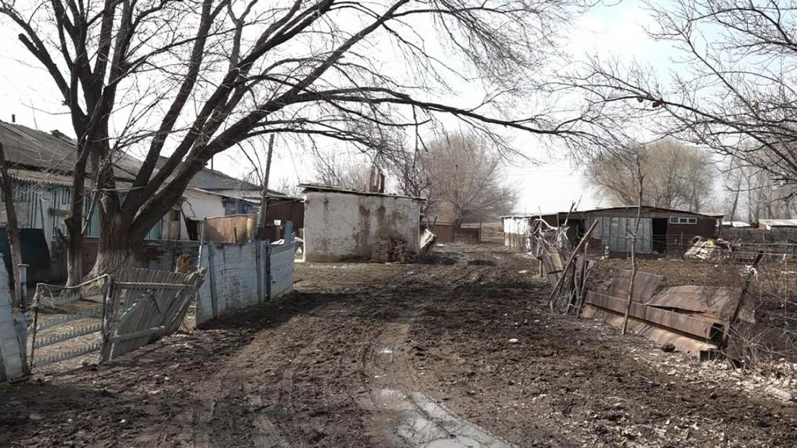 Хозяйство Береке