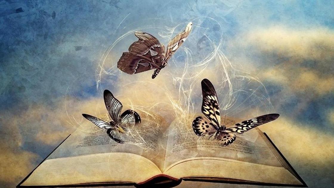 книга и бабочки книга и бабочки