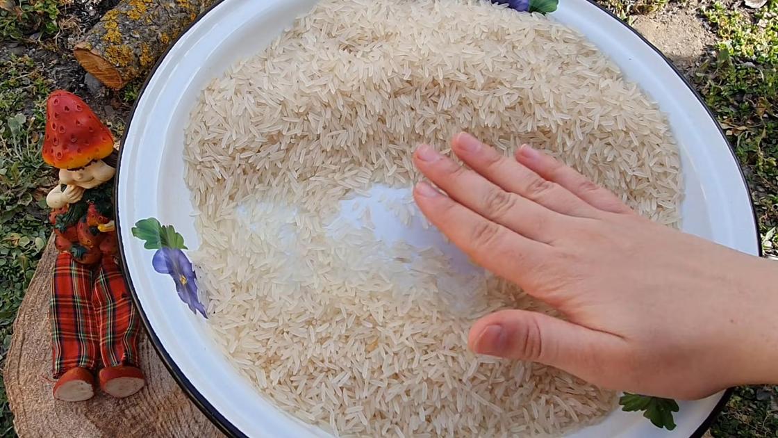В широкой тарелке перебирают зерна риса руками