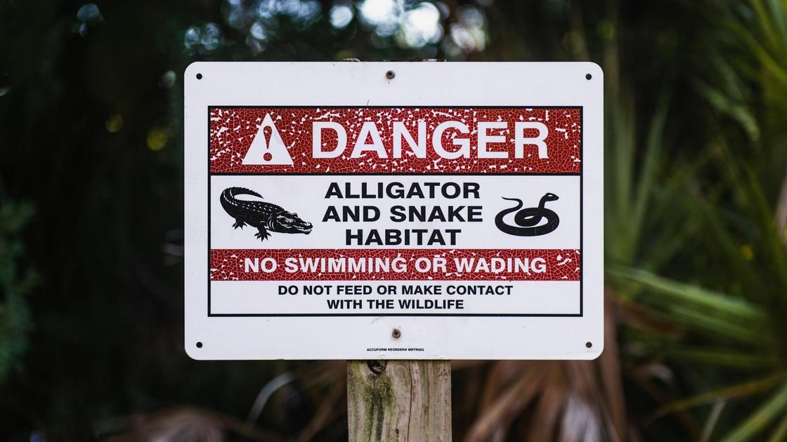 Знак, предупреждающий об опасных животных