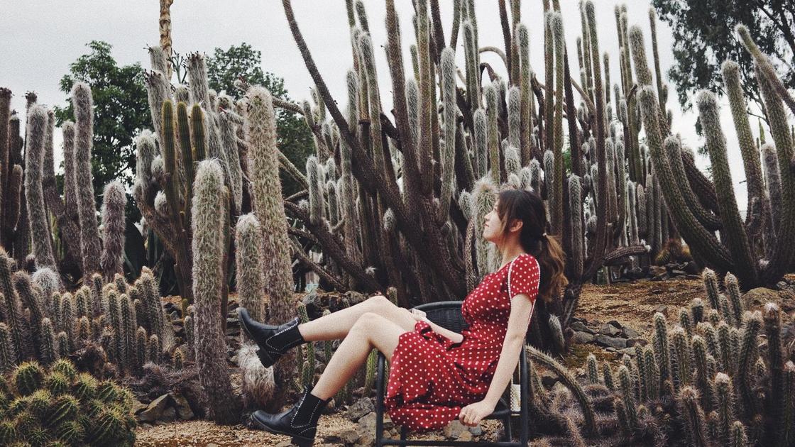 девушка на фоне кактусов