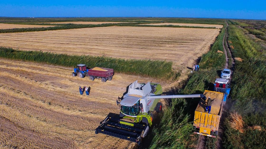 ауыл шаруашылығы