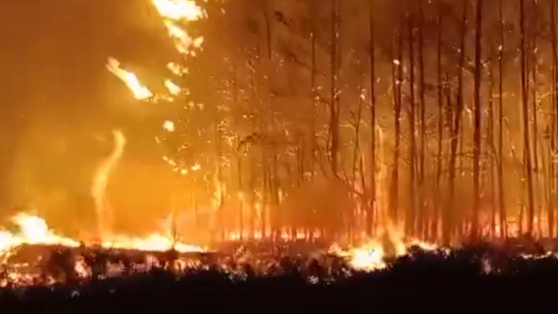 Лес горит в Костанайской области