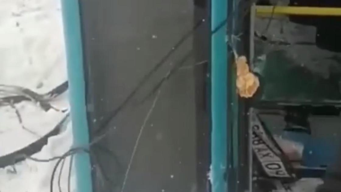 Автобус Автобус
