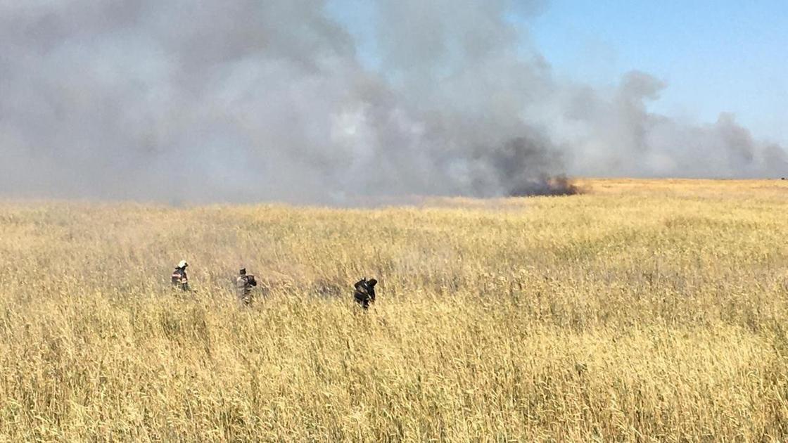 Пожар на побережье Каспия Пожар на побережье Каспия
