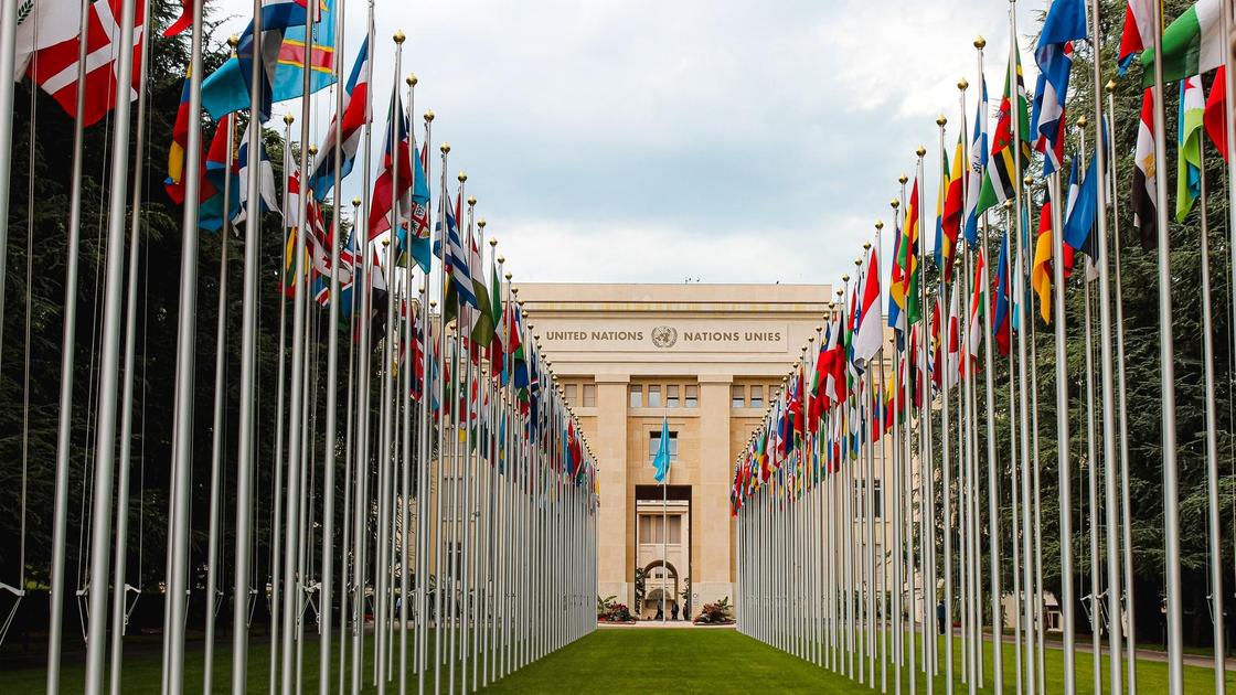 ООН. Фото pexels.com