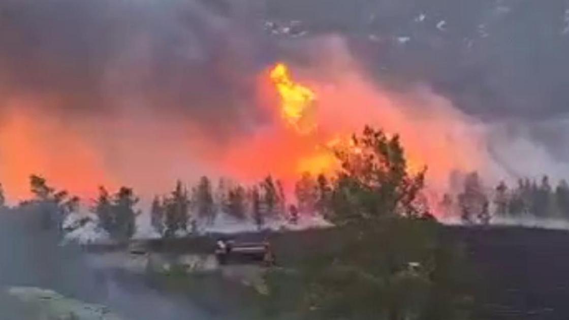 Пожар в Баянаульском районе