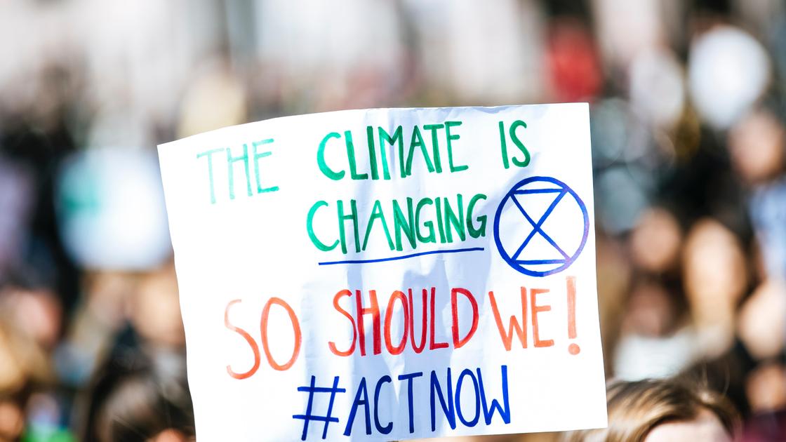 Плакат активиста в защиту климата