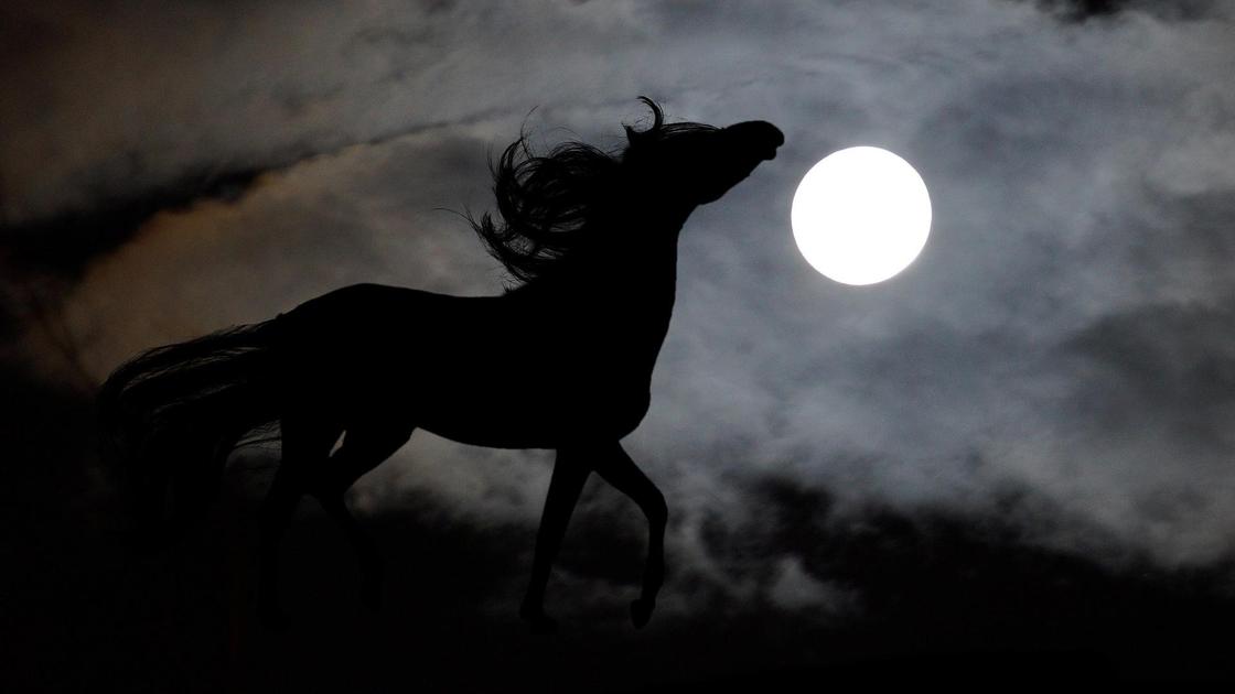 Конь бежит на фоне полной Луны