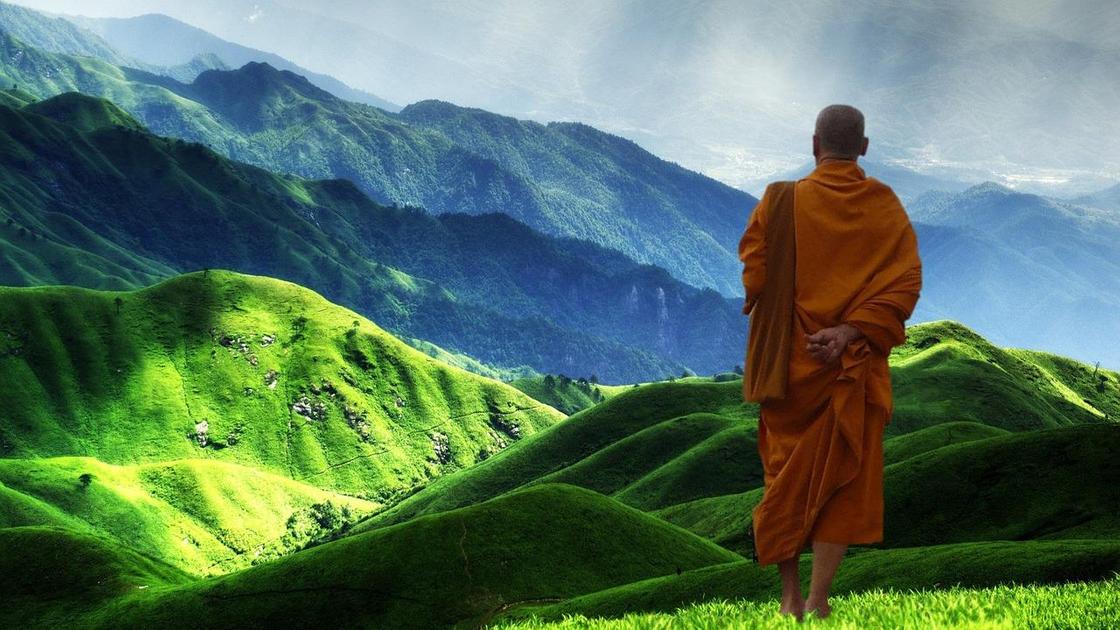 Тибетский онах стоит на фоне гор
